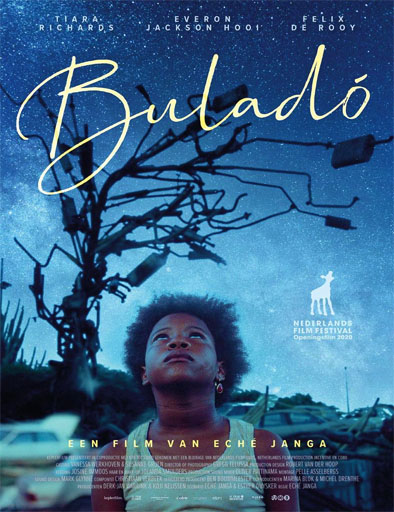 Poster de Buladó