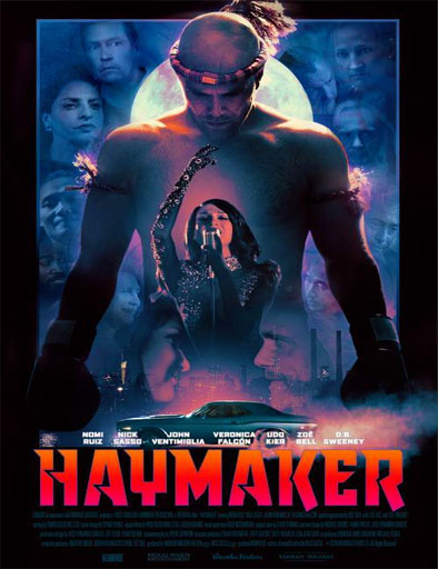Poster de Haymaker