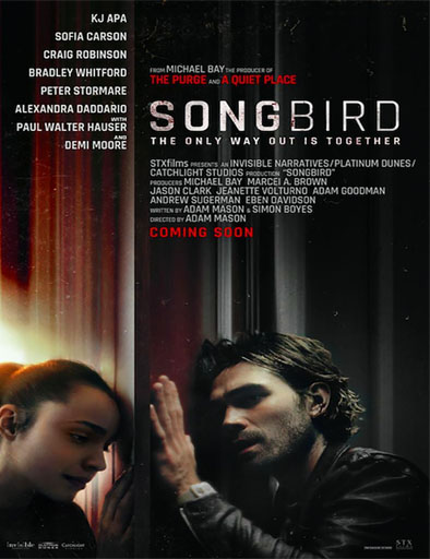 Poster de Songbird
