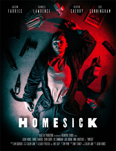 Poster de Homesick