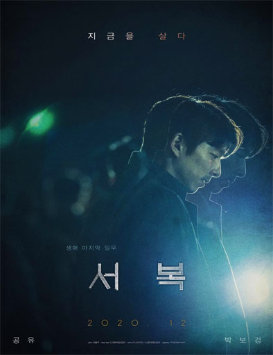 Poster de Seobok