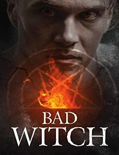 Poster de Bad Witch