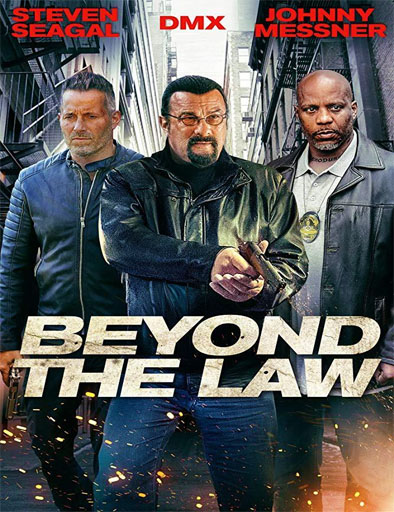 Poster de Beyond the Law