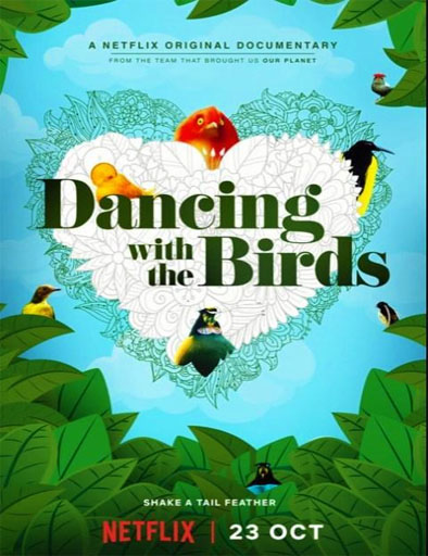 Poster de Dancing With The Birds (Bailando con los pájaros)