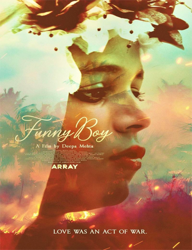 Poster de Funny Boy