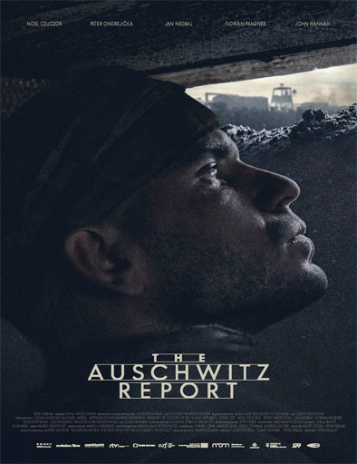 Poster de The Auschwitz Report