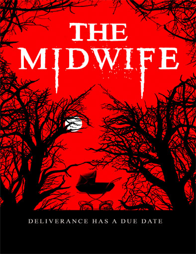Poster de The Midwife