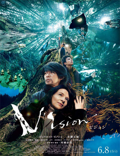 Poster de Vision