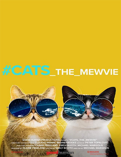 Poster de #cats_the_mewvie