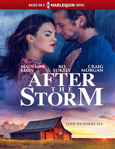 Poster de After the Storm