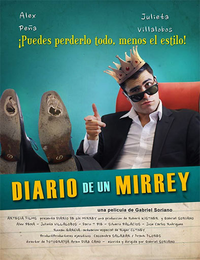 Poster de Diario de un Mirrey