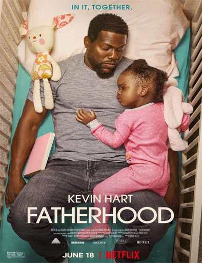 Poster de Fatherhood (Paternidad)