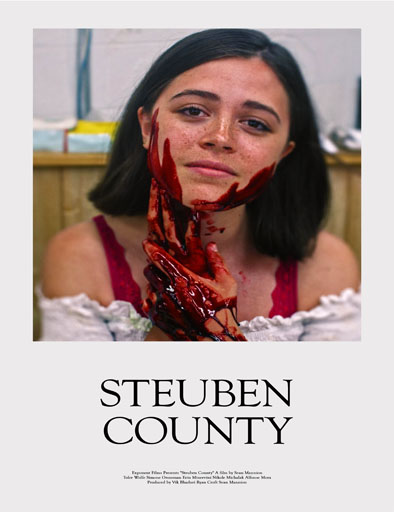 Poster de Steuben County