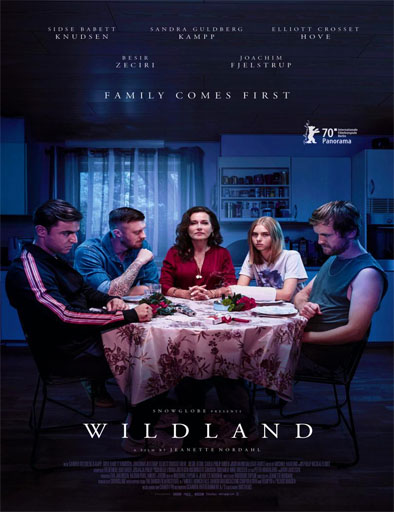Poster de Wildland