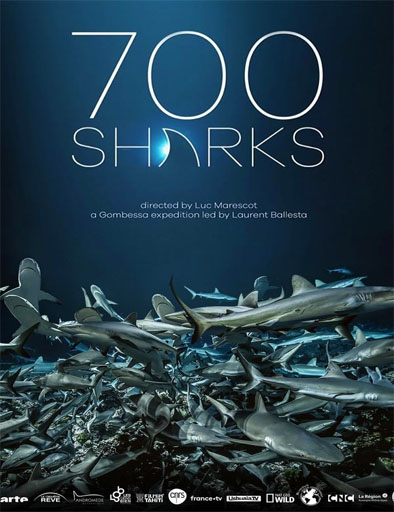 Poster de 700 Sharks