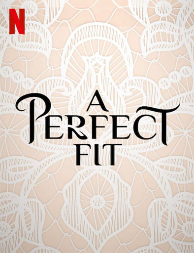 Poster de A Perfect Fit (El par perfecto)