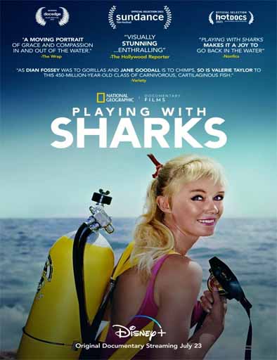 Poster de Playing with Sharks (Jugando con tiburones)