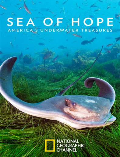 Poster de Sea of Hope: America's Underwater Treasures