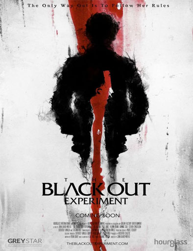 Poster de The Blackout Experiment