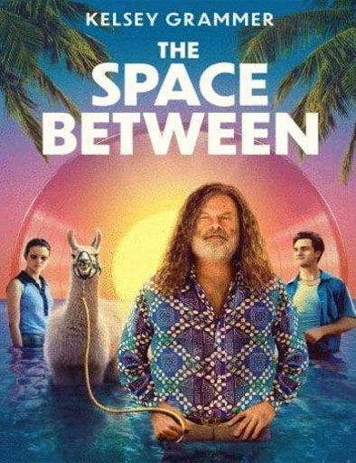 Poster de The Space Between