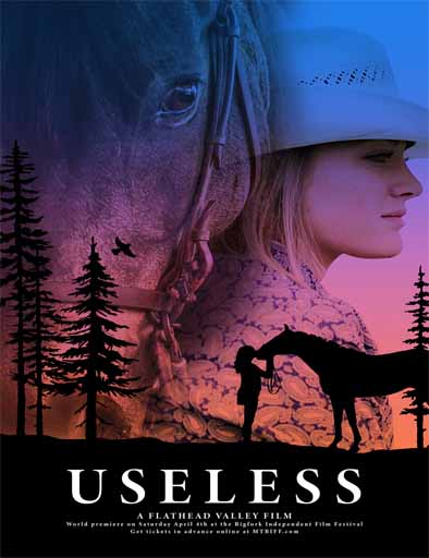 Poster de Useless