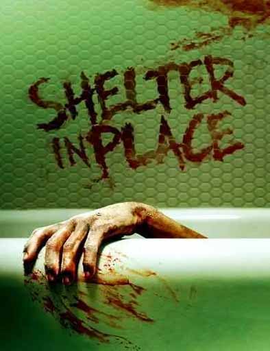 Poster de Shelter in Place