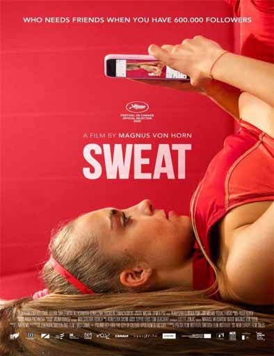 Poster de Sweat