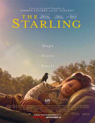 Poster de The Starling (El estornino)