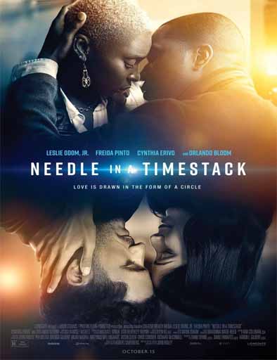 Poster de Needle in a Timestack