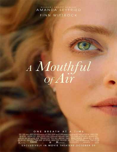Poster de A Mouthful of Air