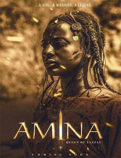 Poster de Amina