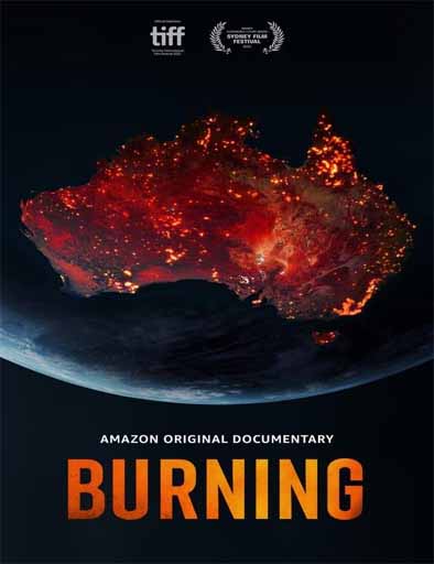 Poster de Burning (Ardiendo)