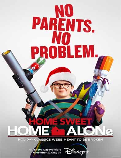 Poster de Home Sweet Home Alone (Mi pobre y dulce angelito)