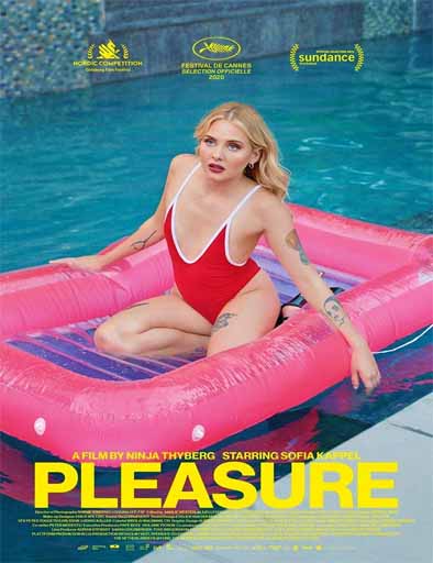 Poster de Pleasure