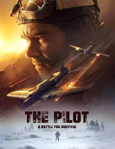 Poster de The Pilot. A Battle for Survival