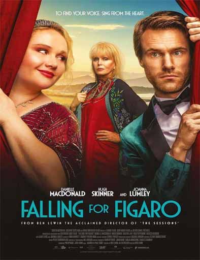 Poster de Falling for Figaro