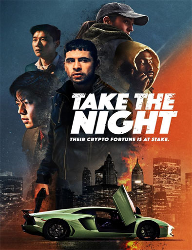 Poster de Take the Night