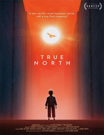 Poster de True North