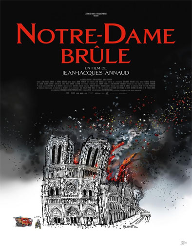 Poster de Notre-Dame brule