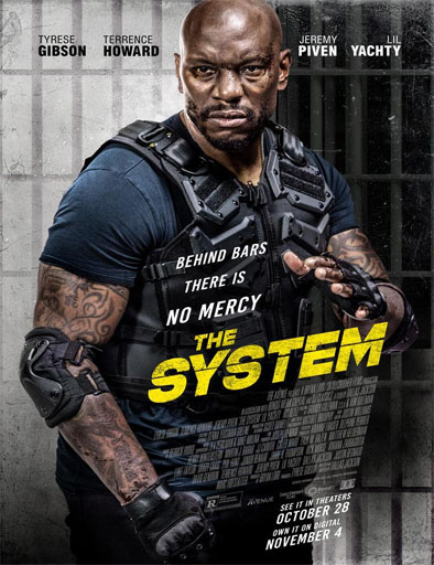 Poster de The System