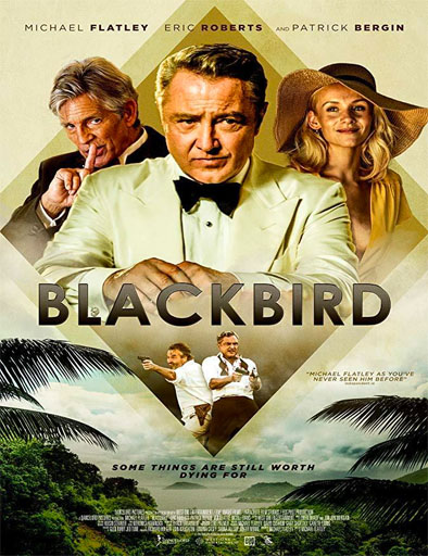 Poster de Blackbird