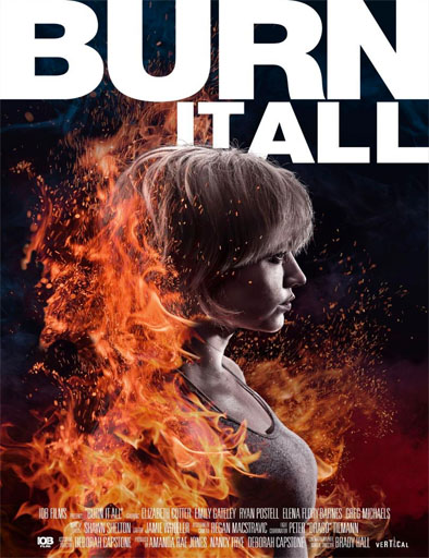Poster de Burn It All