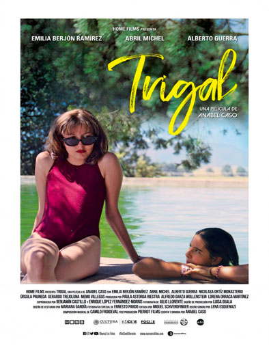 Poster de Trigal