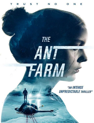 Poster de The Ant Farm (El misterio de la casa del lago)