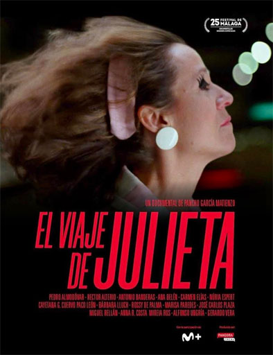 Poster de El viaje de Julieta
