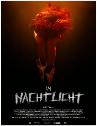 Poster de Im Nachtlicht (Él viene de noche)