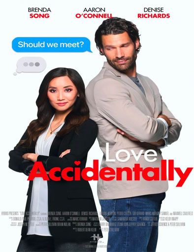 Poster de Love Accidentally