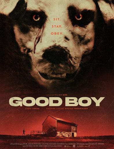Poster de Good Boy