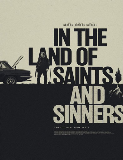 Poster de In the Land of Saints and Sinners