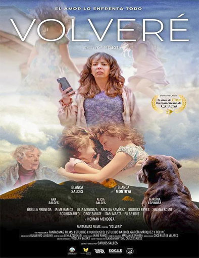 Poster de Volveré